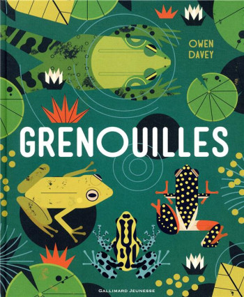 GRENOUILLES - DAVEY OWEN - GALLIMARD