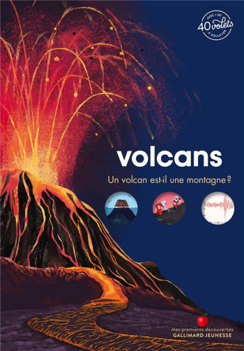 VOLCANS - BORDET-PETILLON - GALLIMARD