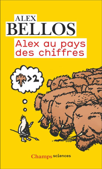 ALEX AU PAYS DES CHIFFRES : UNE PLONGEE DANS L'UNIVERS DES MATHEMATIQUES - BELLOS/RILEY - FLAMMARION