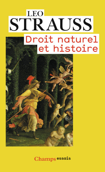 DROIT NATUREL ET HISTOIRE - STRAUSS LEO - FLAMMARION