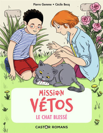 MISSION VETOS TOME 5 : LE CHAT BLESSE - GEMME/BECQ - FLAMMARION