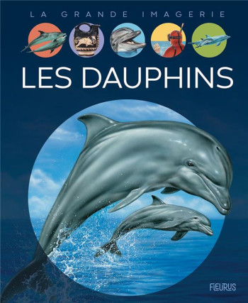 LES DAUPHINS - REDOULES/ALUNNI - FLEURUS