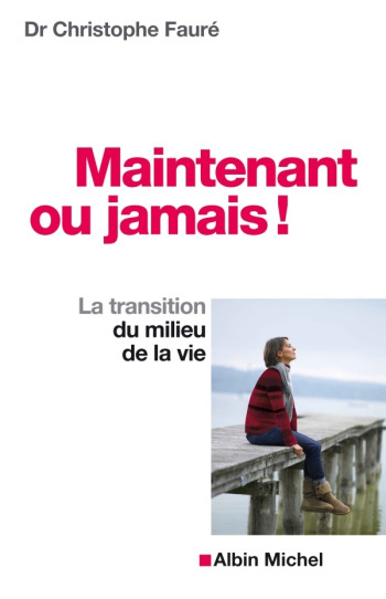 MAINTENANT OU JAMAIS ! - FAURE CHRISTOPHE - ALBIN MICHEL