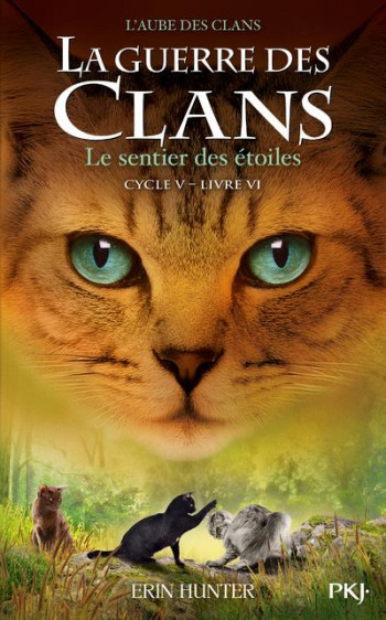 LA GUERRE DES CLANS - CYCLE 5  -  L'AUBE DES CLANS TOME 6 : LE SENTIER DES ETOILES - HUNTER - POCKET