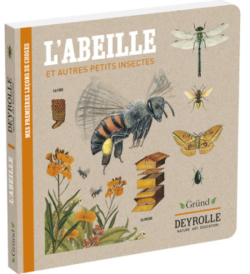 L'ABEILLE ET AUTRES PETITS INSECTES - DEYROLLE - PELISSIER/ALADJIDI - GRUND