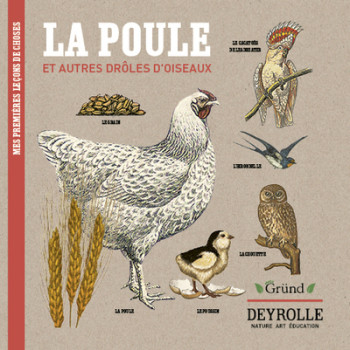 LA POULE ET AUTRES DROLES D'OISEAUX DEYROLLE - ALADJIDI/DEYROLLE - GRUND