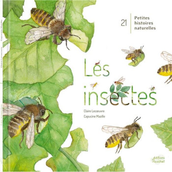 21 PETITES HISTOIRES NATURELLES : LES INSECTES - LECOEUVRE/MAZILLE - RICOCHET 21 PETITES HISTOIRES NATURELLES : LES INSECTES - LECOEUVRE/MAZILLE - RICOCHET