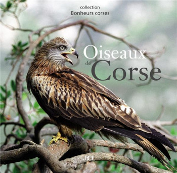 OISEAUX DE CORSE - CART S - DCL