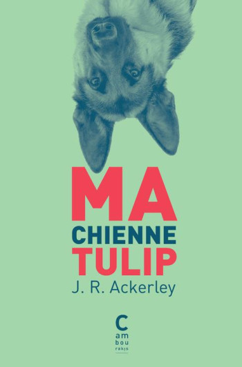 MA CHIENNE TULIP - ACKERLEY J. R. - Cambourakis