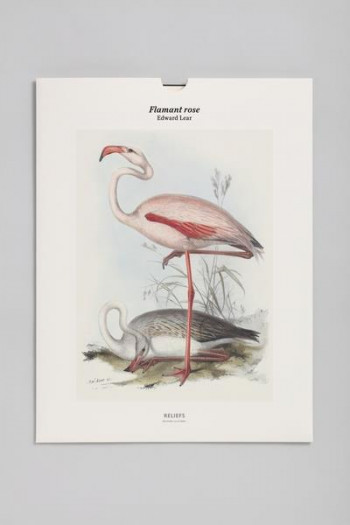 TIRAGE BNF : FLAMANT ROSE - LEAR EDWARD - RELIEFS