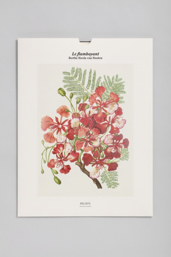 TIRAGE  LE FLAMBOYANT - EDITION ILLUSTREE - HOOLA VAN NOOTEN B. - RELIEFS