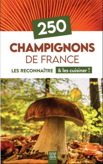 250 CHAMPIGNONS DE FRANCE : LES RECONNAITRE et LES CUISINER ! - COLLECTIF - DU LUMIGNON