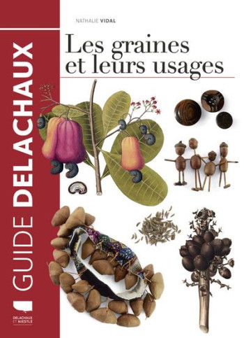 LES GRAINES ET LEURS USAGES, TOME 1 - VIDAL NATHALIE - DELACHAUX