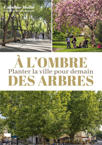 À L'OMBRE DES ARBRES : PLANTER LA VILLE POUR DEMAIN - MOLLIE - DELACHAUX