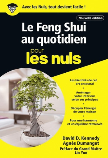 LE FENG SHUI AU QUOTIDIEN POCHE POUR LES NULS - KENNEDY/DUMANGET - POUR LES NULS