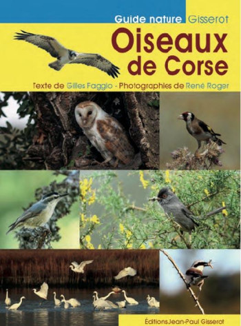 OISEAUX DE CORSE - FAGGIO/ROGER - GISSEROT