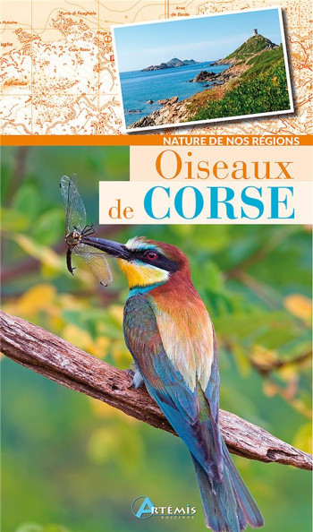 OISEAUX DE CORSE - COLLECTIF - Artémis