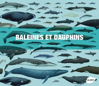 BALEINES ET DAUPHINS  -  HISTOIRE NATURELLE ET GUIDE DES ESPECES - BERTA ANNALISA - Ulmer