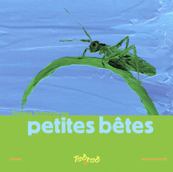 PETITE HISTOIRE DE PETITES BETES - MATTEI A. - ALBIANA