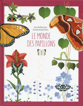 LE MONDE DES PAPILLONS - Rita Mabel Schiavo - WHITE STAR KIDS