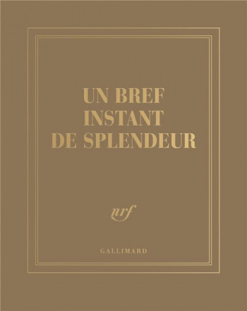 CARNET CARRE UN BREF INSTANT DE SPLENDEUR - COLLECTIF - NC