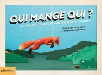 QUI MANGE QUI ? LA CHAINE ALIMENTAIRE EN 3 LIVRES-ACCORDEON - HUTT SARAH - Phaidon