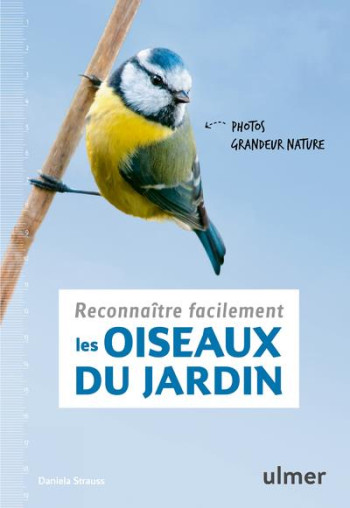 RECONNAITRE FACILEMENT LES OISEAUX DU JARDIN  -  PHOTOS GRANDEUR NATURE - STRAUSS DANIELA - ULMER