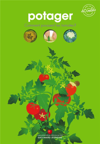 POTAGER : COMMENT POUSSENT LES TOMATES ? - LAMOUREUX/MARNAT - GALLIMARD