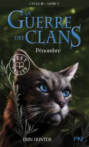 LA GUERRE DES CLANS - CYCLE 3  -  LE POUVOIR DES ETOILES TOME 5 : PENOMBRE - HUNTER ERIN - POCKET