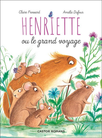 HENRIETTE OU LE GRAND VOYAGE - DUFOUR/FROSSARD - FLAMMARION