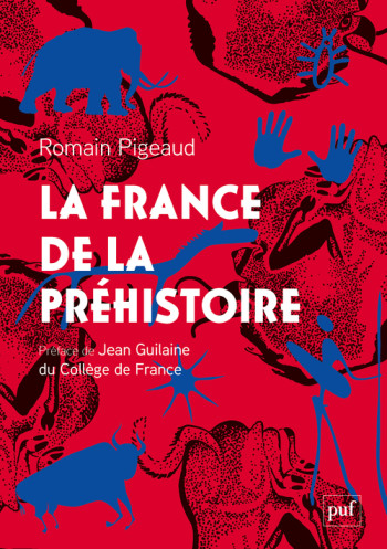 LA FRANCE DE LA PREHISTOIRE - PIGEAUD ROMAIN - PUF