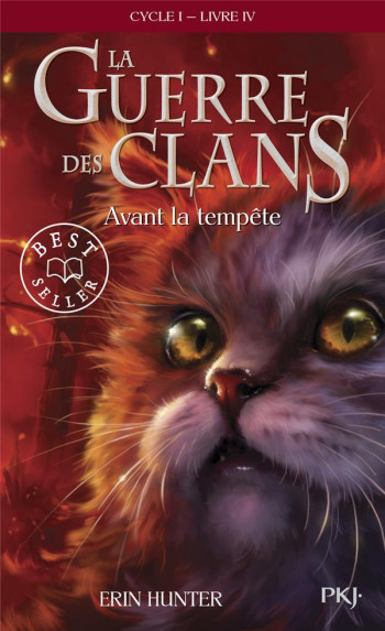 LA GUERRE DES CLANS - CYCLE 1 TOME 4 : AVANT LA TEMPETE - HUNTER ERIN - POCKET