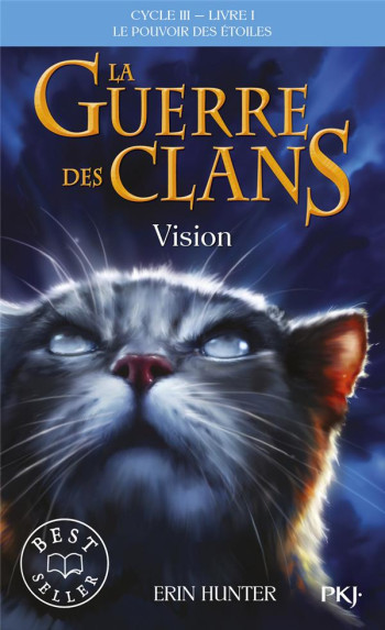 LA GUERRE DES CLANS - CYCLE 3  -  LE POUVOIR DES ETOILES TOME 1 : VISION - HUNTER ERIN - POCKET