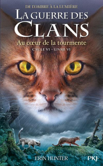 LA GUERRE DES CLANS - CYCLE 6  -  DE L'OMBRE A LA LUMIERE TOME 6 : AU COEUR DE LA TOURMENTE - HUNTER ERIN - POCKET