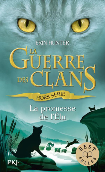 LA GUERRE DES CLANS HORS-SERIE TOME 4 : LA PROMESSE DE L'ELU - HUNTER ERIN - POCKET