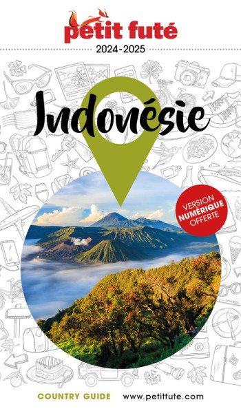 GUIDE INDONESIE 2025 PETIT FUTE - AUZIAS DOMINIQUE - PETIT FUTE