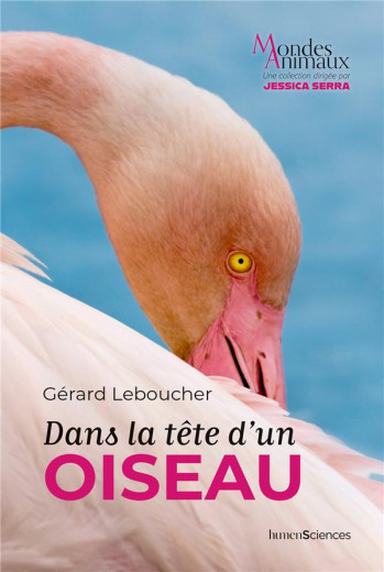 DANS LA TETE D'UN OISEAU - LEBOUCHER GERARD - HUMENSCIENCES