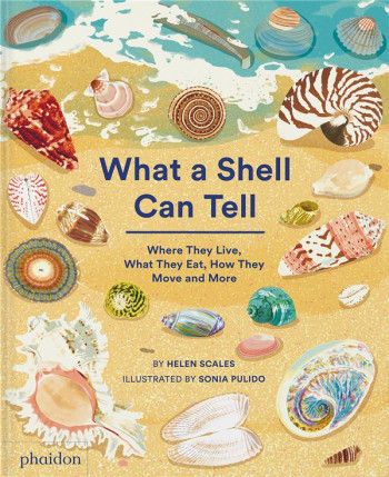 WHAT A SHELL CAN TELL - SCALES/PULIDO - NC