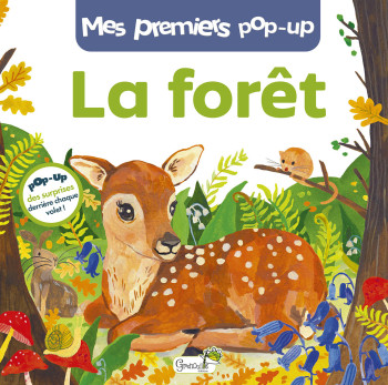 LA FORET -  C. MONCOQ - GRENOUILLE