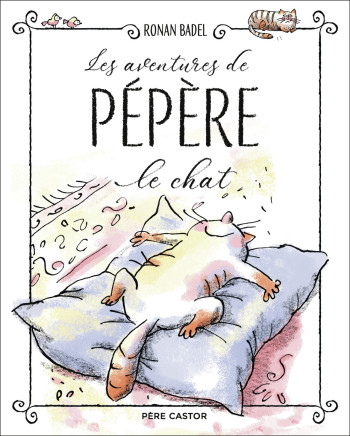 LES AVENTURES DE PEPERE LE CHAT - LA MAISON DE CHAT - UNE FAMILLE AU POIL - UNE VIE DE CHAT - Ronan Badel - PERE CASTOR