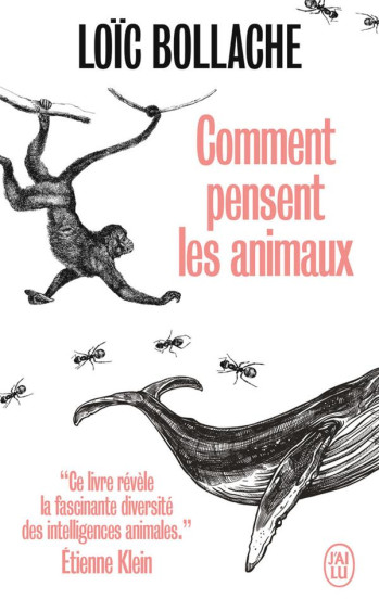 COMMENT PENSENT LES ANIMAUX - BOLLACHE LOIC - J'AI LU