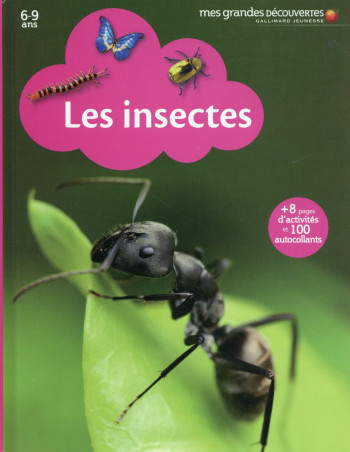 LES INSECTES - COLLECTIF - Gallimard-Jeunesse