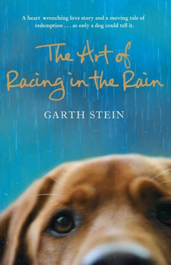 THE ART OF RACING IN THE RAIN - STEIN, GARTH - HARPER COLLINS