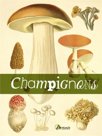 LE LIVRE DES CHAMPIGNONS - COLLECTIF - ARTEMIS