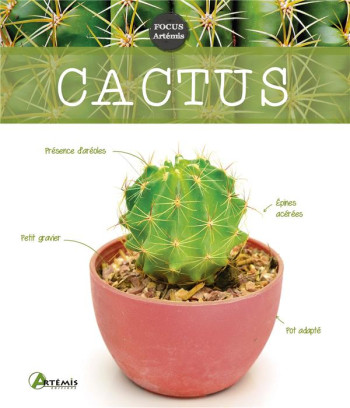 CACTUS - COLLECTIF - ARTEMIS