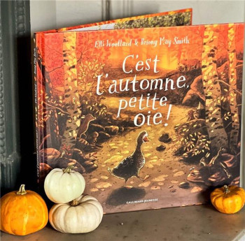 C'EST L'AUTOMNE, PETITE OIE ! - WOOLLARD ELLI - GALLIMARD