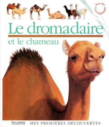 LE DROMADAIRE ET LE CHAMEAU -  Collectif - GALLIMARD JEUNE