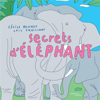 SECRETS D'ELEPHANT - BENOIST CECILE - ACTES SUD