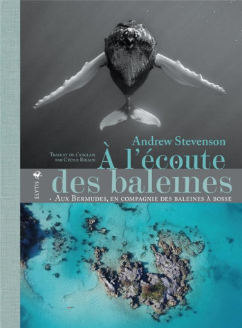 A L'ECOUTE DES BALEINES - AUX BERMUDES, EN COMPAGNIE DES BAL - STEVENSON ANDREW - ELYTIS