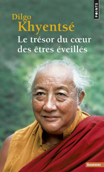 LE TRESOR DU COEUR DES ETRES EVEILLES - PRATIQUE DE LA VUE, DE LA MEDITATION ET DE L'ACTION - KHYENTSE RINPOCHE DILGO - SEUIL